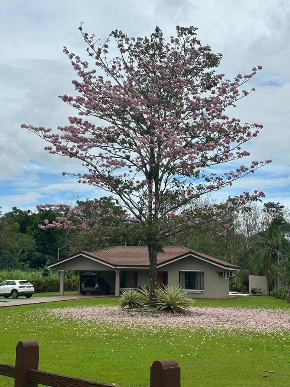 Casa Roble Fortuna La Fortuna Luaran gambar